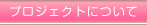 �v���W�F�N�g�ɂ���