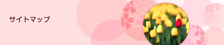 �T�C�g�}�b�v