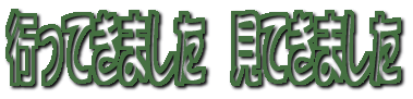 行ってきました　見てきました