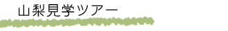 �R�����w�c�A�[