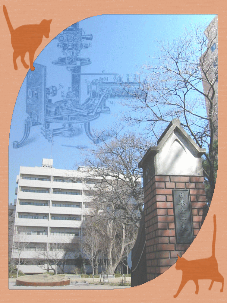 �t���[��