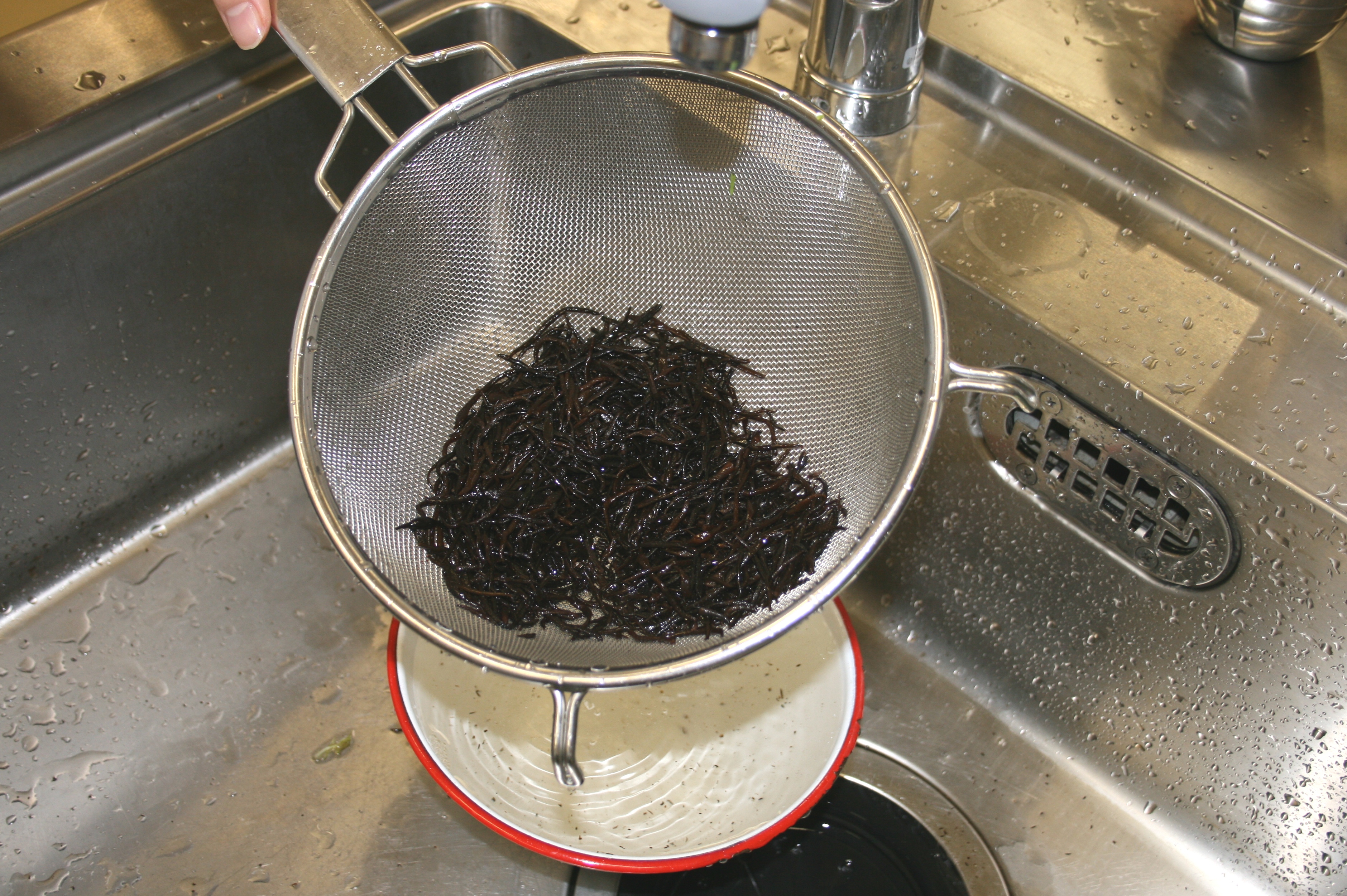 �Ђ������U���ɂ����Đ􂢂܂��傤