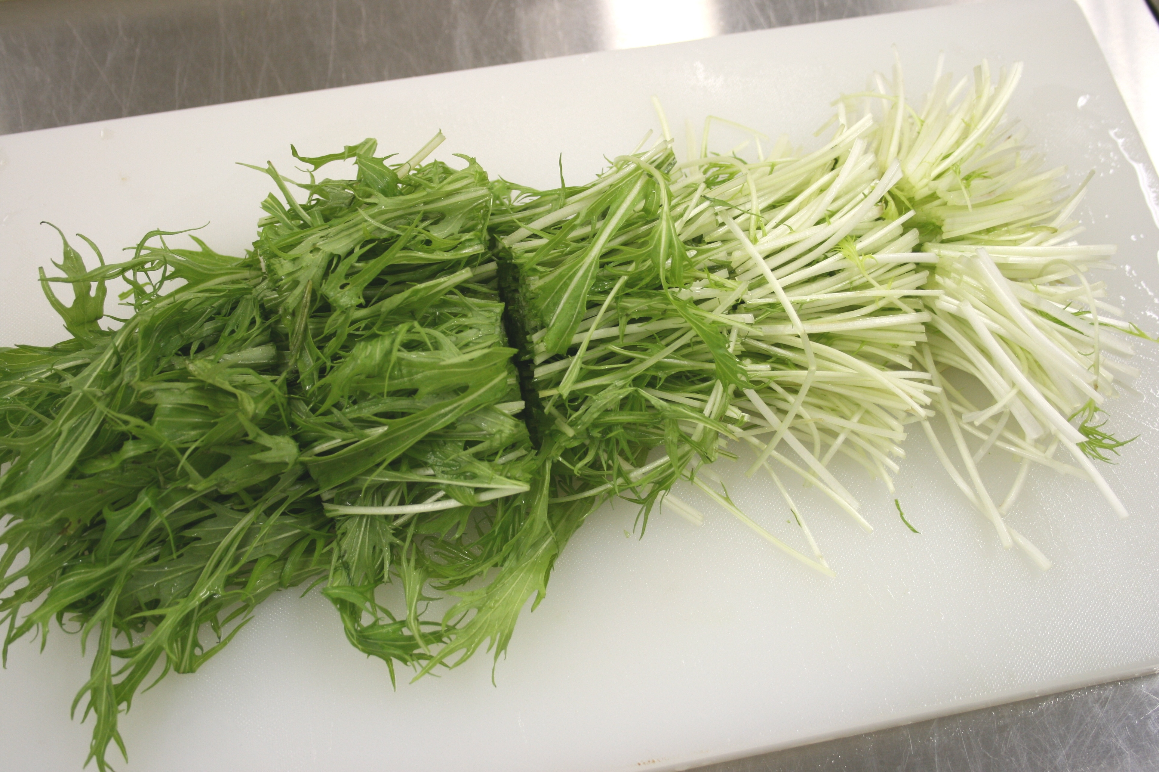 ���؂�؂�܂��傤