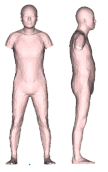 ���o����3D�`��(����)