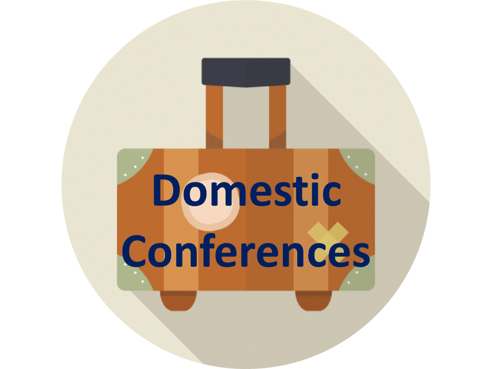 DOMESTIC CONFERENCE 