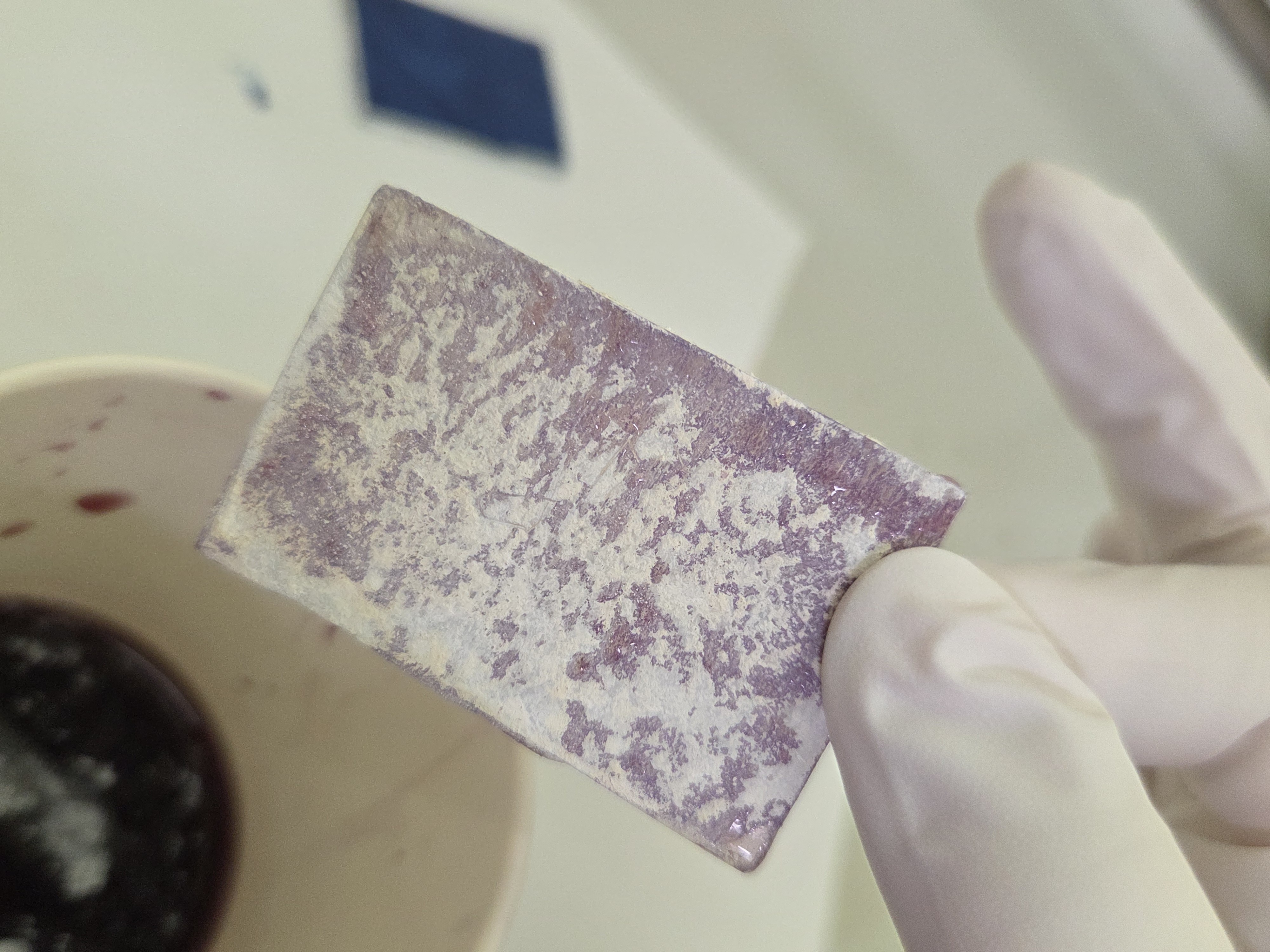 アントシアニン