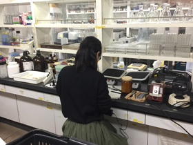 研究室の様子6