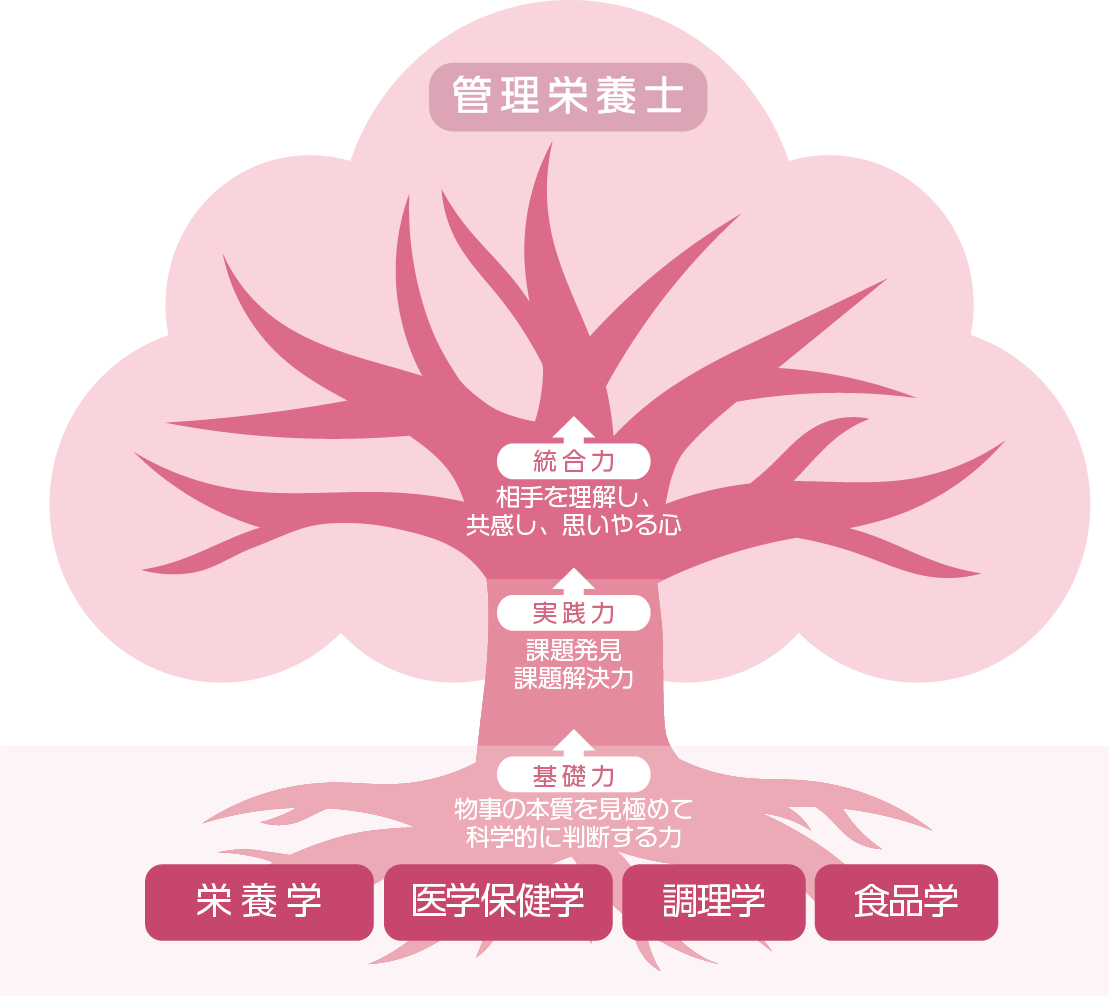 栄養学科の進路イメージ図