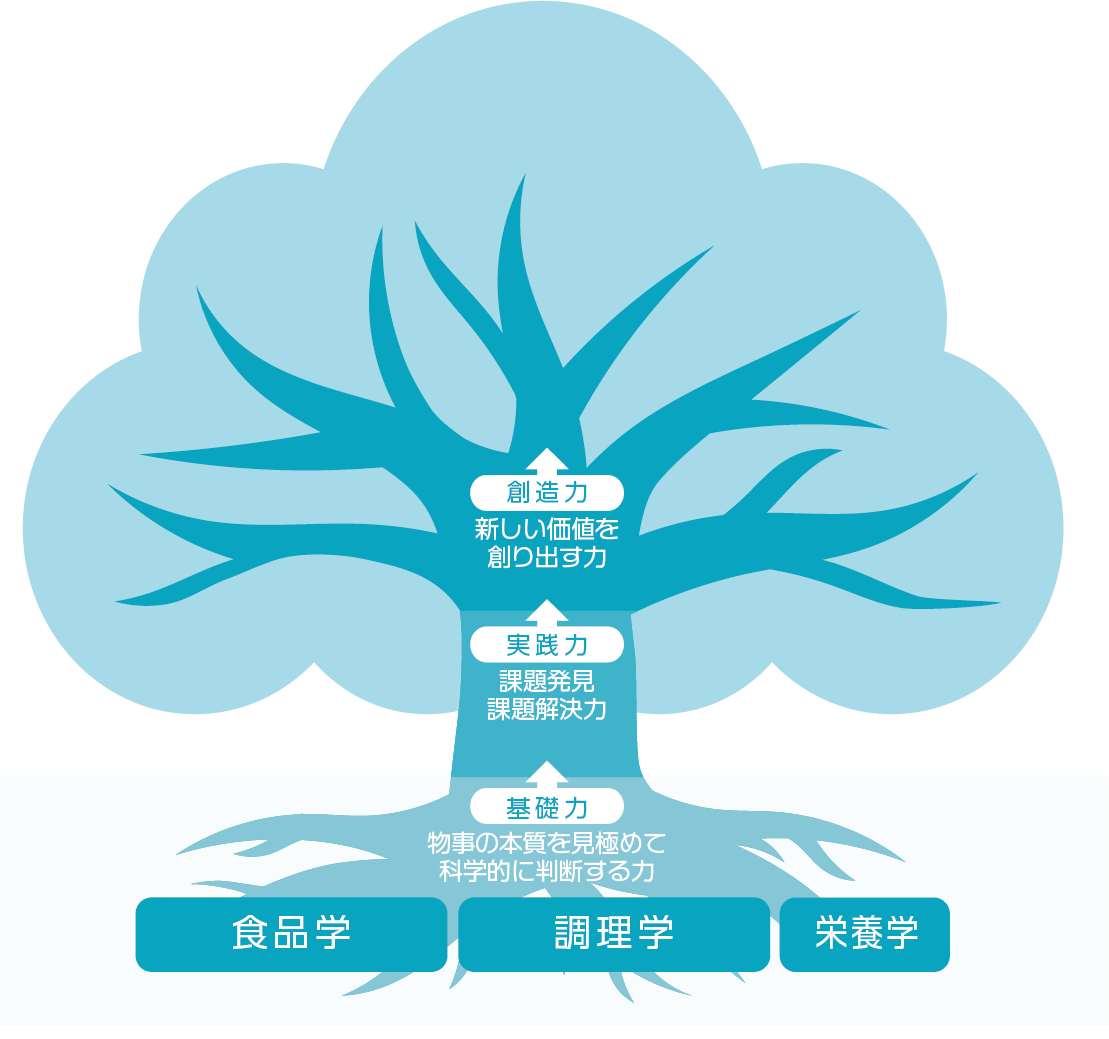 食科学科の進路イメージ図