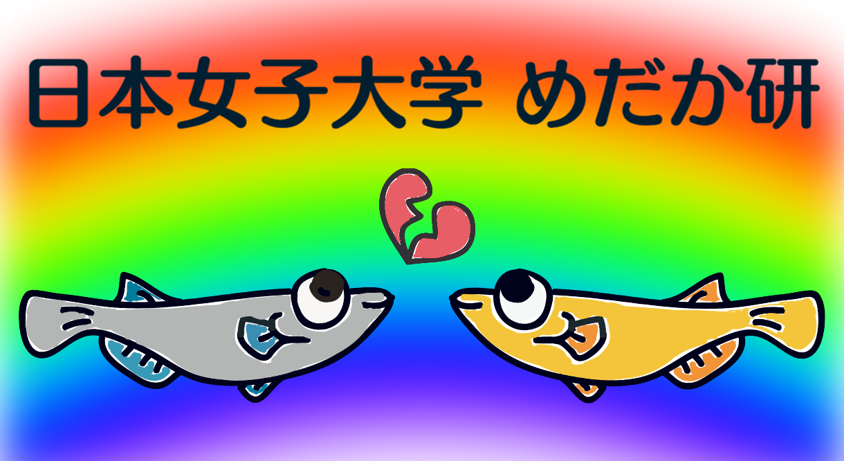 めだか研 日本女子大学 めだか研 日本女子大学