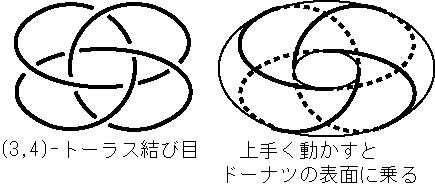 (3,4)-�g�[���X���і�