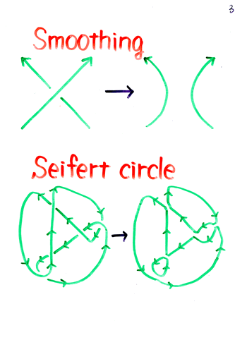 Y.T.�R����