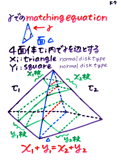 �����V����