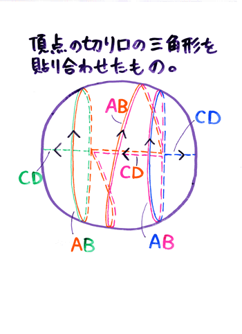 �ɓ��P�O����