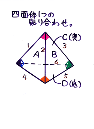 �ɓ��Q����