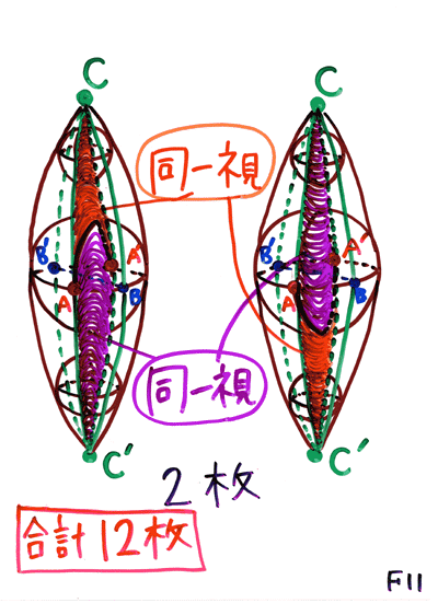 ���J�P�P����