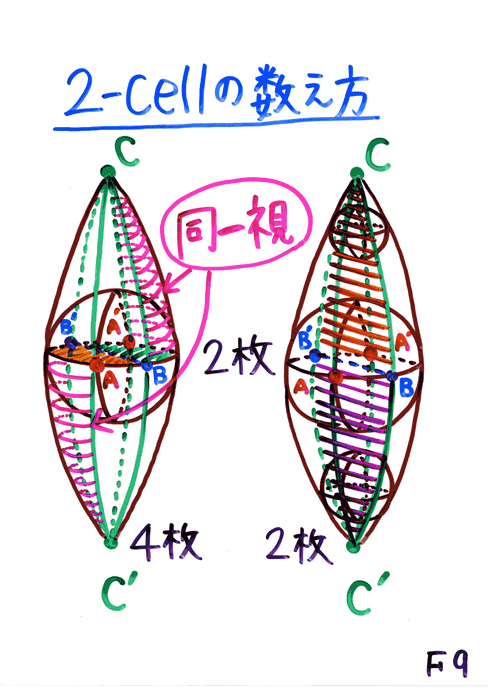 ���J�X����