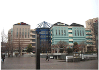 �`�k���}SC�̎ʐ^