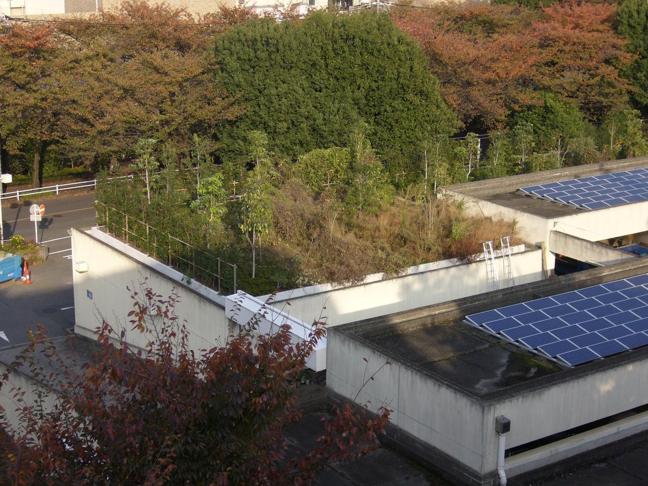 クリックで画像拡大