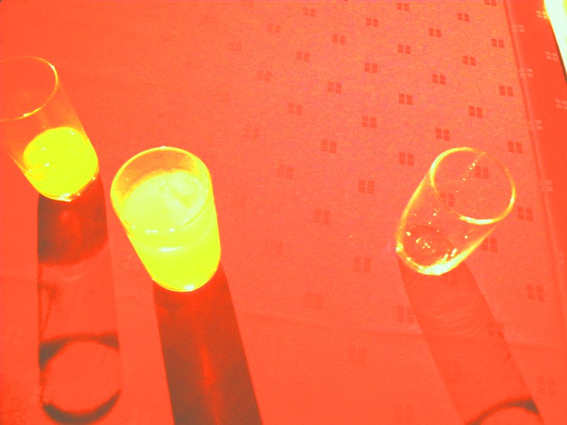 kakou1.jpg(84377 byte)