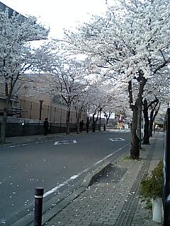 ���ߏ�̍��iIN �b�{�j