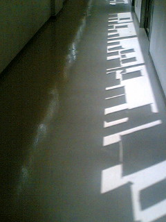 �V���̋G�߂̘L��