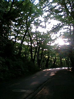 �ߌ�̓�����