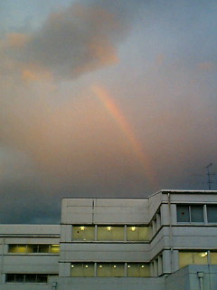 �}���ق̏�ɏo�Ă�����