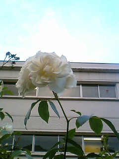 �����o��