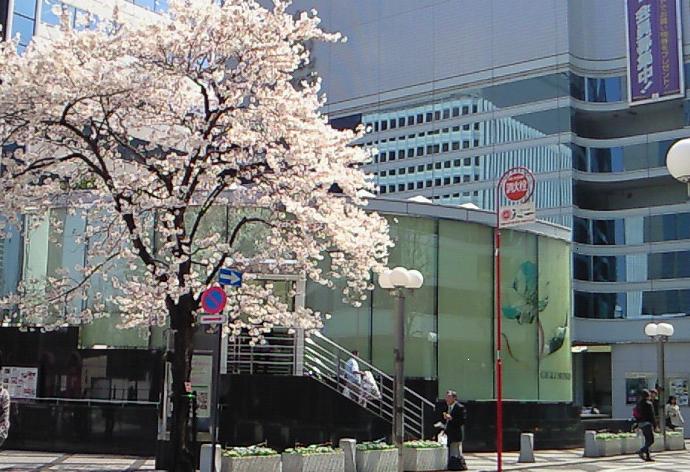 ����J�̍�