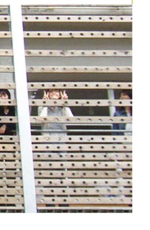 プロジェクト8/8