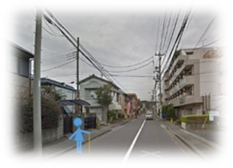 �o�X���ʍs���铹