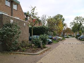 �I�����_�摜