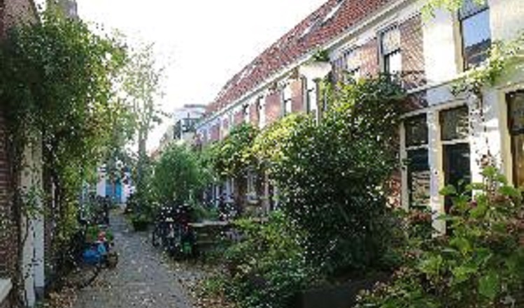 �������j�^�[��W