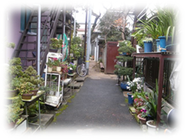 �G�i���J�摜