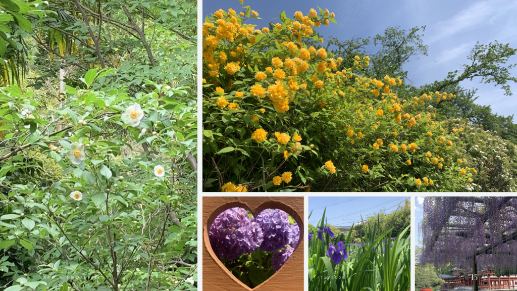 画像に alt 属性が指定されていません。ファイル名: image-9-1024x576.png