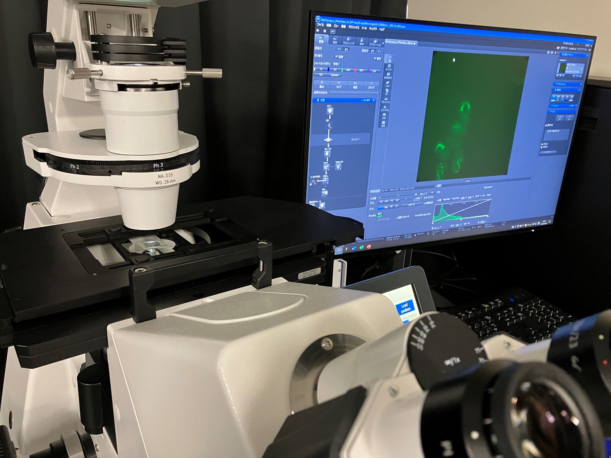 �|���^�u���������ʐ^