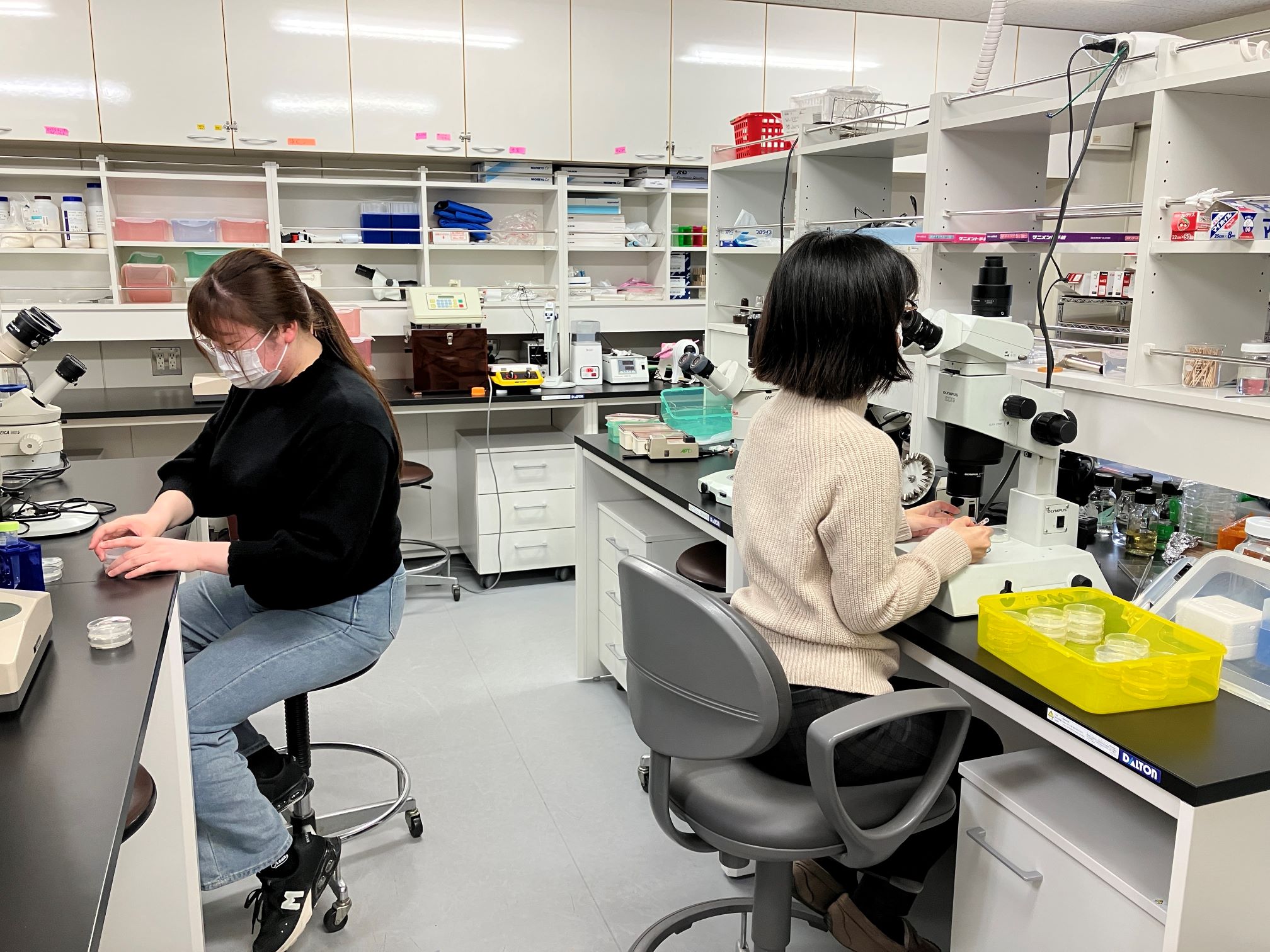 �������ʐ^2