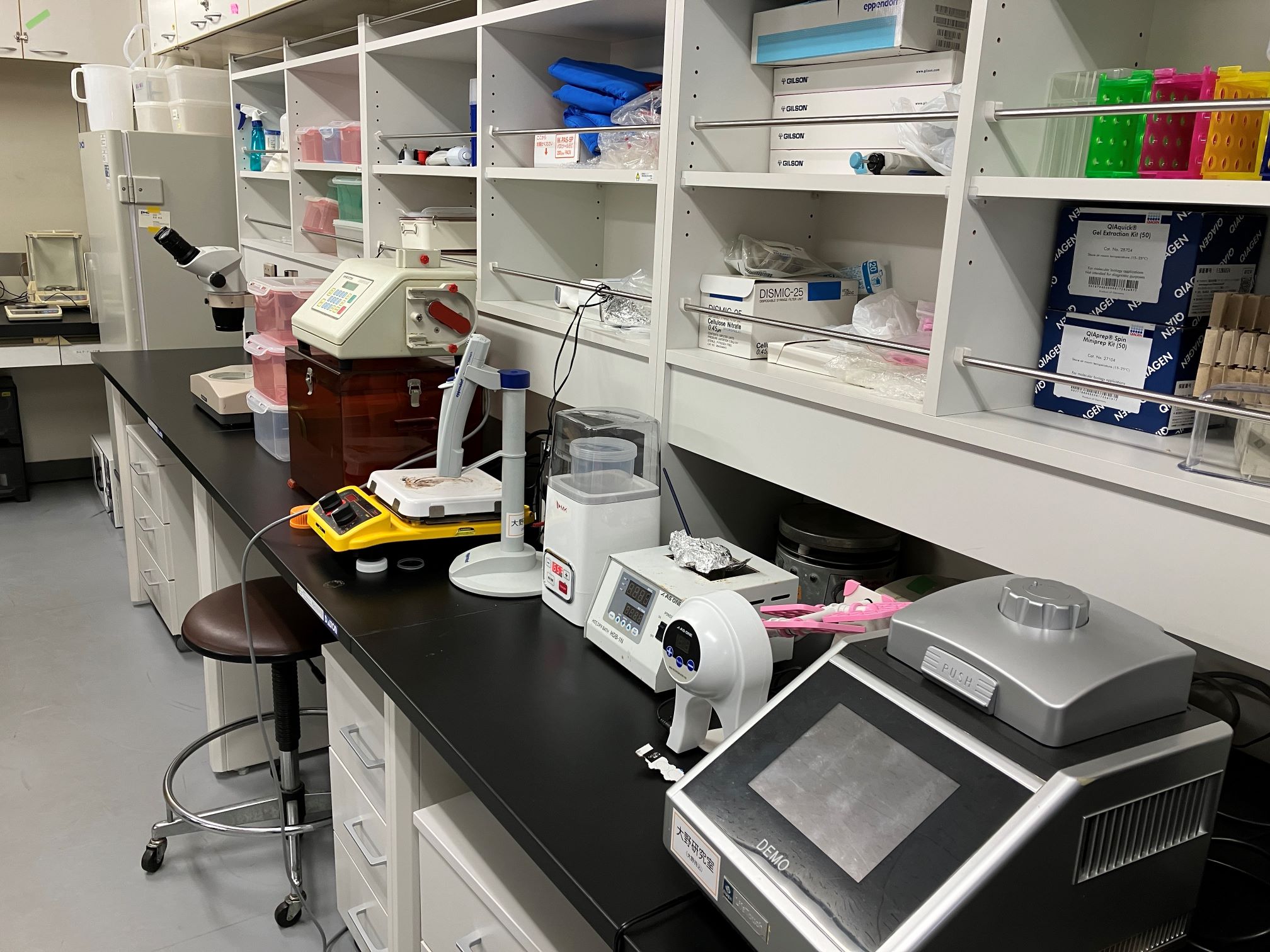 �������ʐ^1