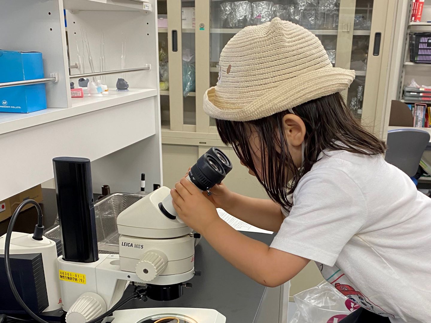 ���̌������ʐ^