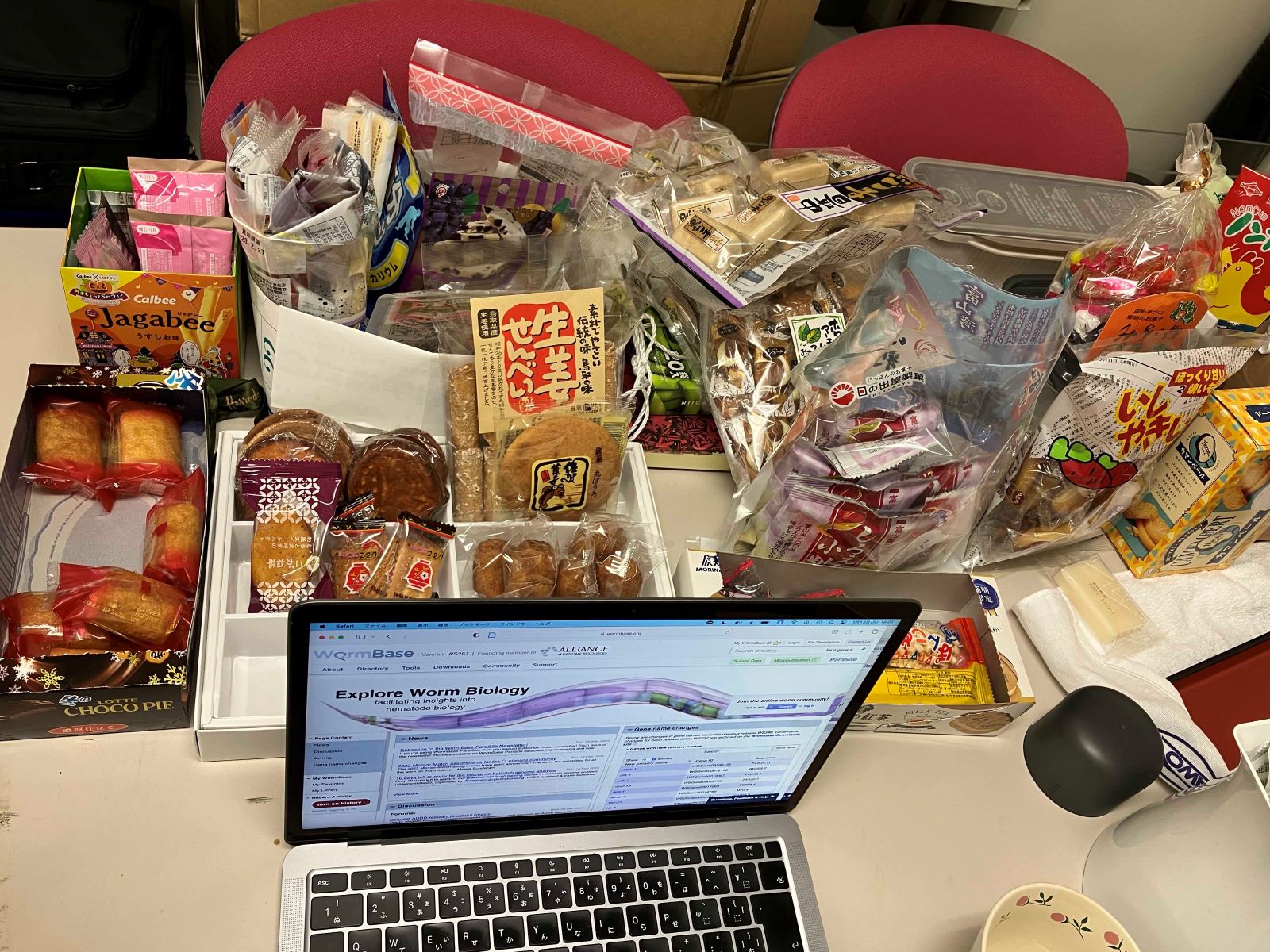 �������ʐ^3